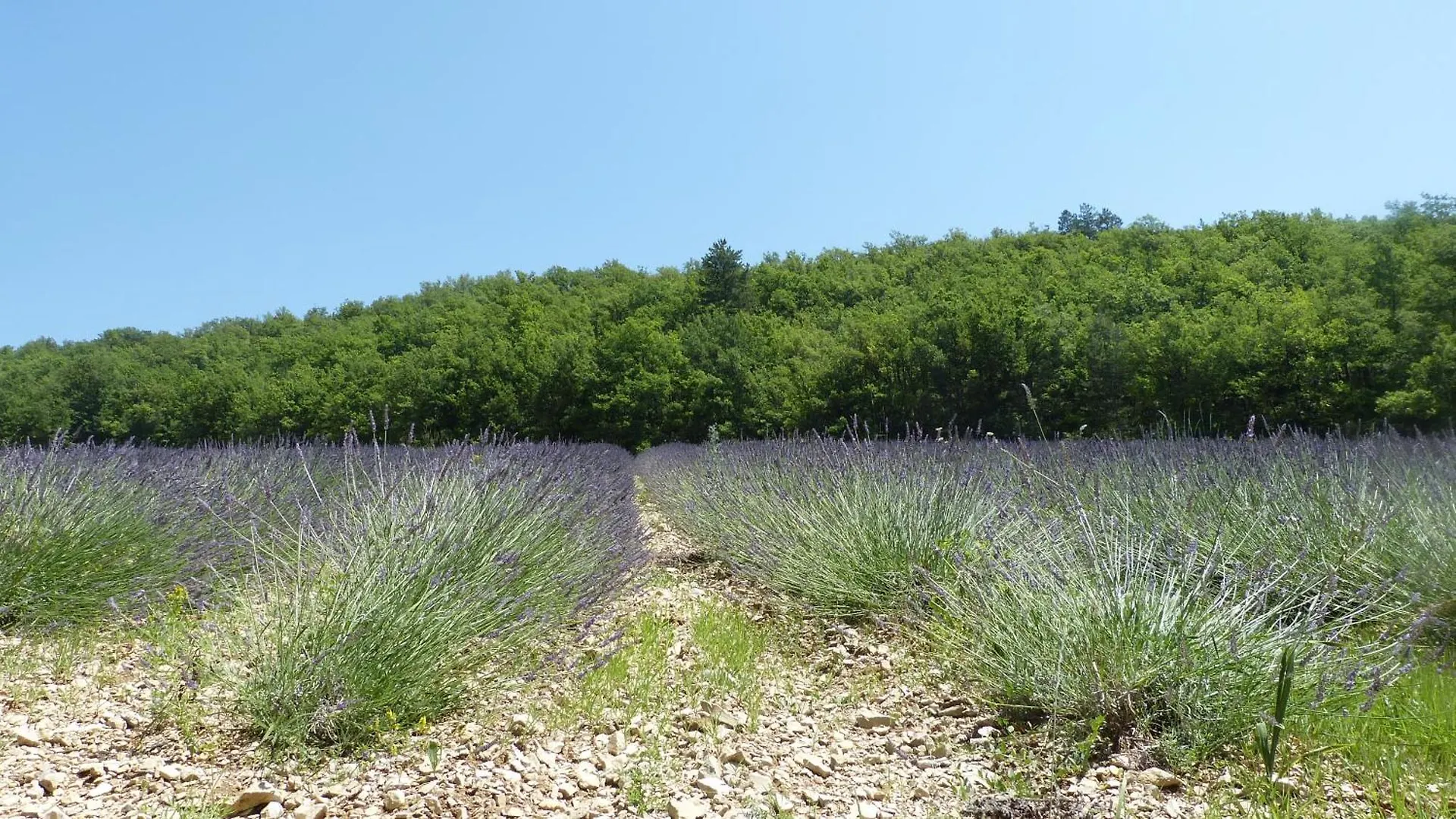 Villa La Prairie à Noyers-sur-Jabron 0*,  France
